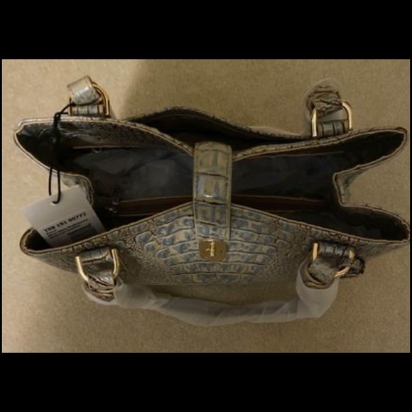 Brahmin - Picture 6 of 7